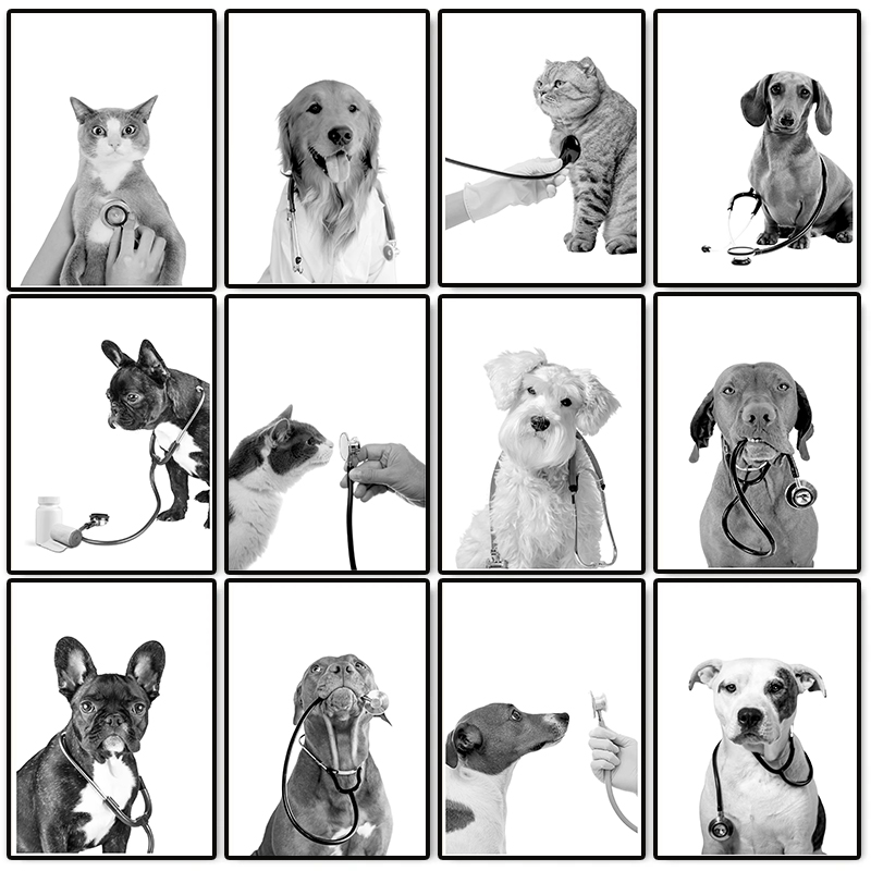 Stethoscope - Póster de Veterinaria con Perros y
